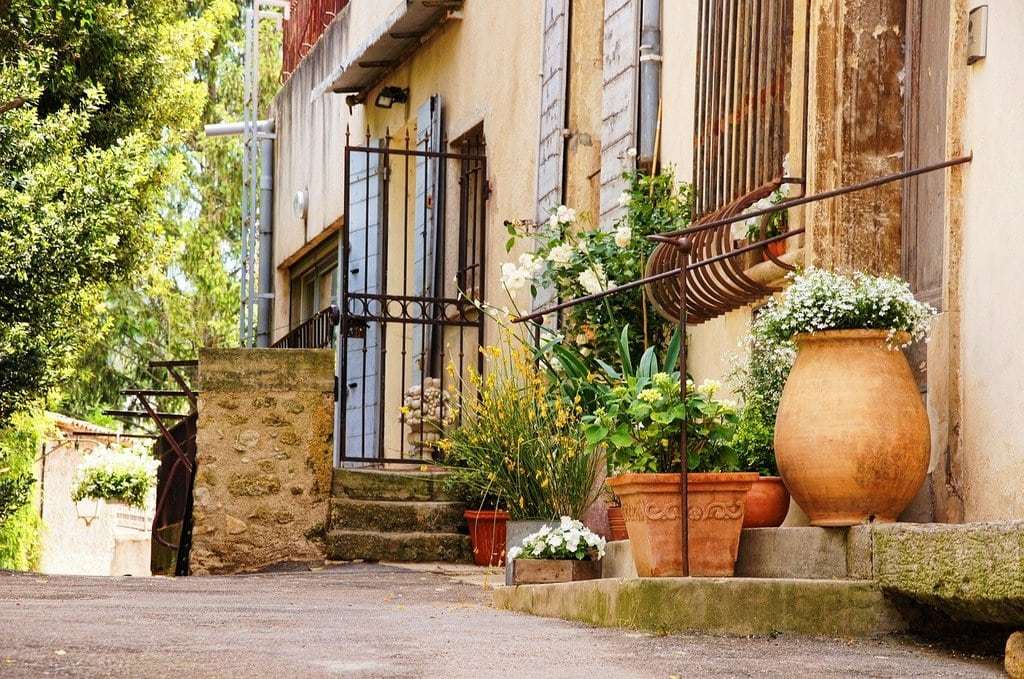 L'inspiration de l'olivier dans l'art provençal